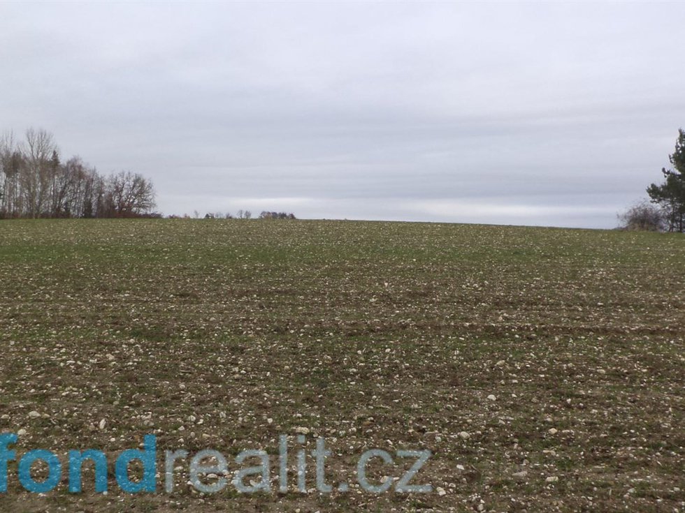 Prodej zemědělské půdy 4224 m², Hrubá Skála