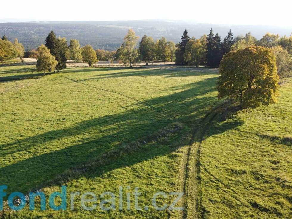 Prodej zemědělské půdy 5003 m², Šindelová