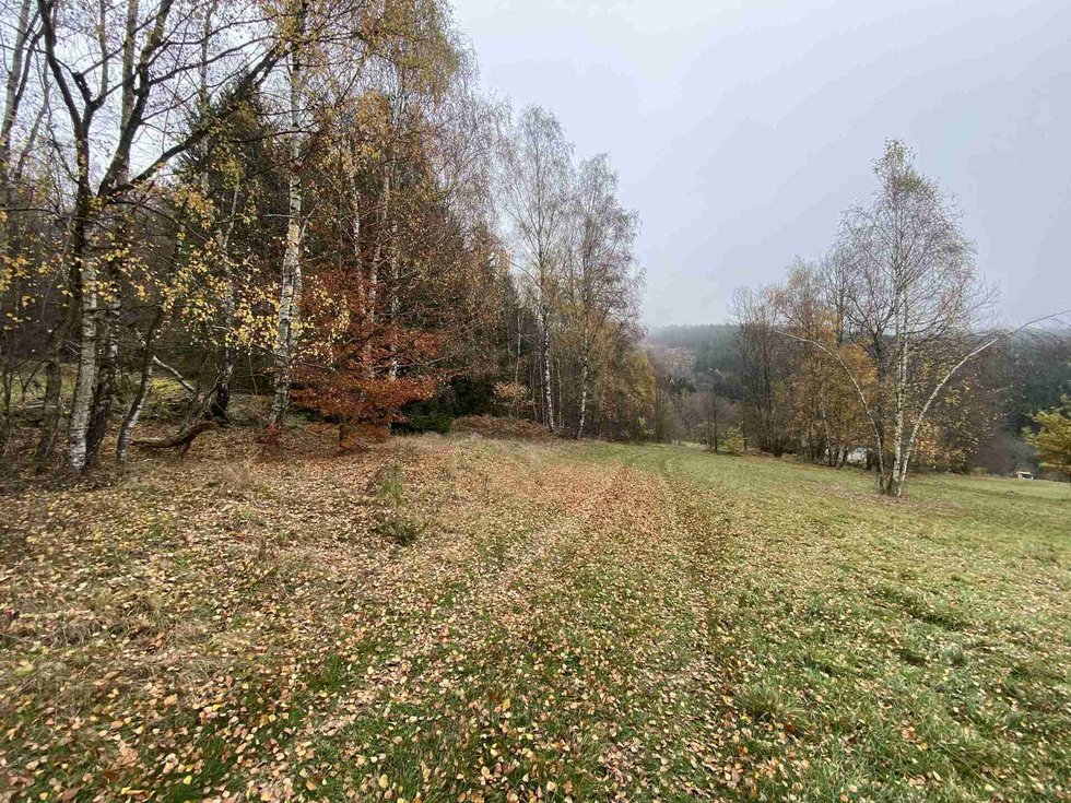 Prodej zemědělské půdy 1158 m², Chvalšiny