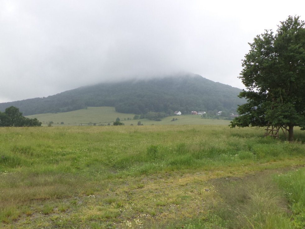 Prodej zemědělské půdy 4685 m², Jablonné v Podještědí