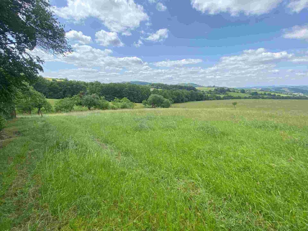 Prodej zemědělské půdy 728 m², Vizovice