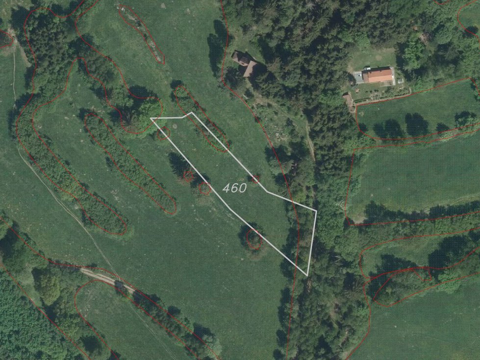 Prodej zemědělské půdy 14413 m², Nový Rychnov