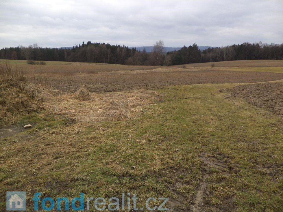 Prodej zemědělské půdy 7248 m², Horní Třešňovec