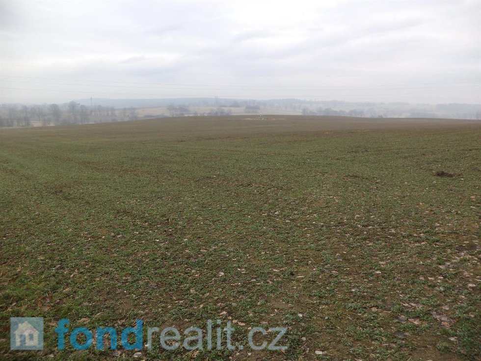 Prodej zemědělské půdy 6968 m², Drahonice