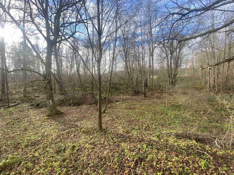 Prodej stavební parcely 1074 m², Staré Město pod Landštejnem