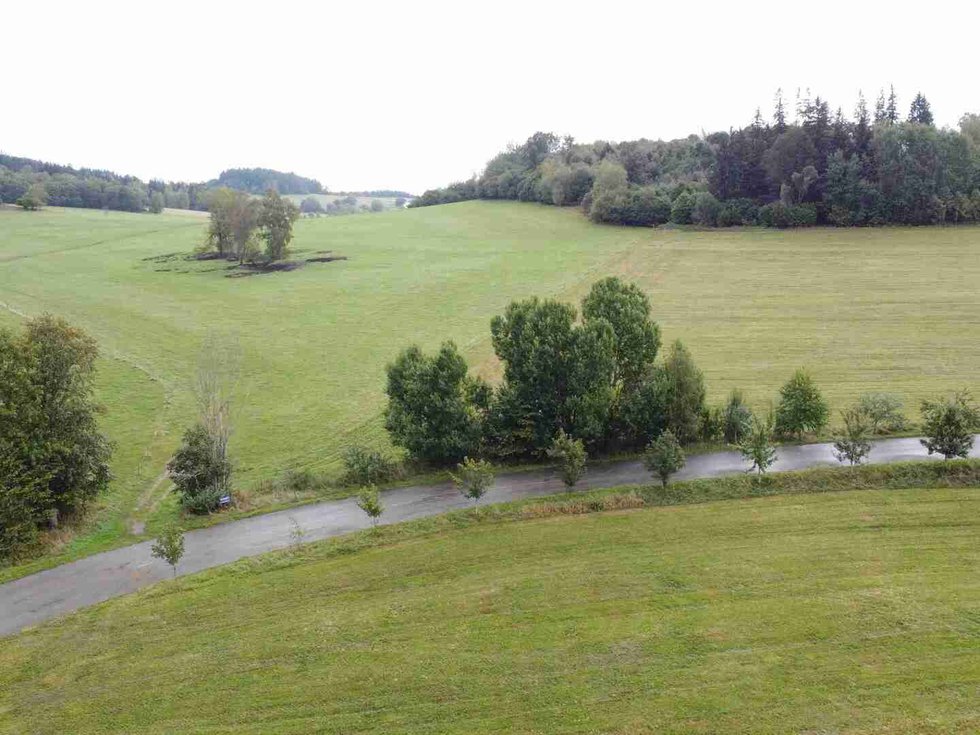 Prodej stavební parcely 4978 m², Černá v Pošumaví