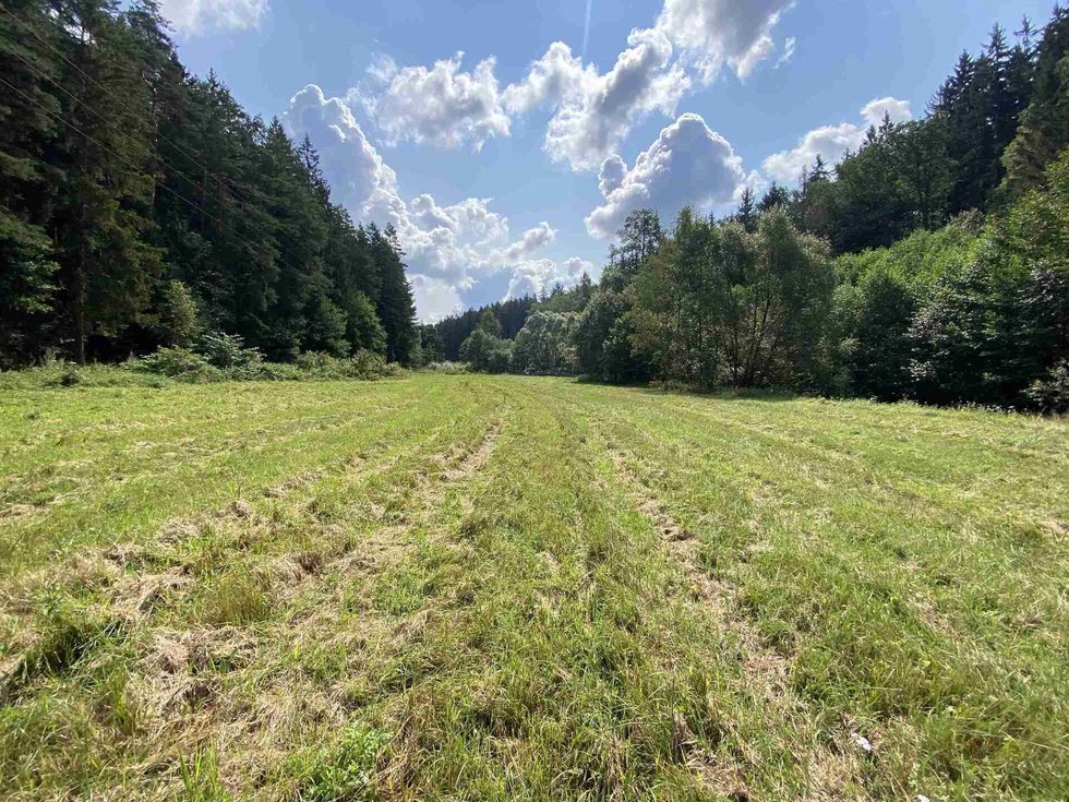 Prodej zemědělské půdy 843 m², Kaplice