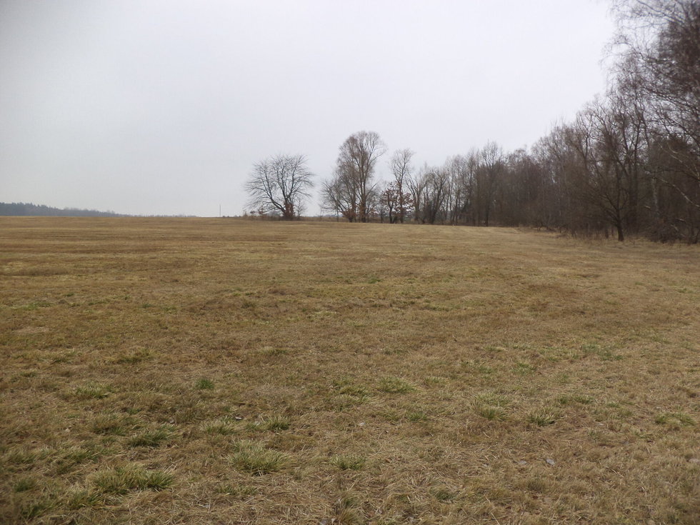 Prodej stavební parcely 4230 m², Nové Hrady