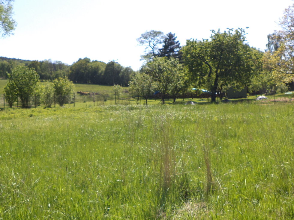 Prodej stavební parcely 2931 m², Staré Křečany