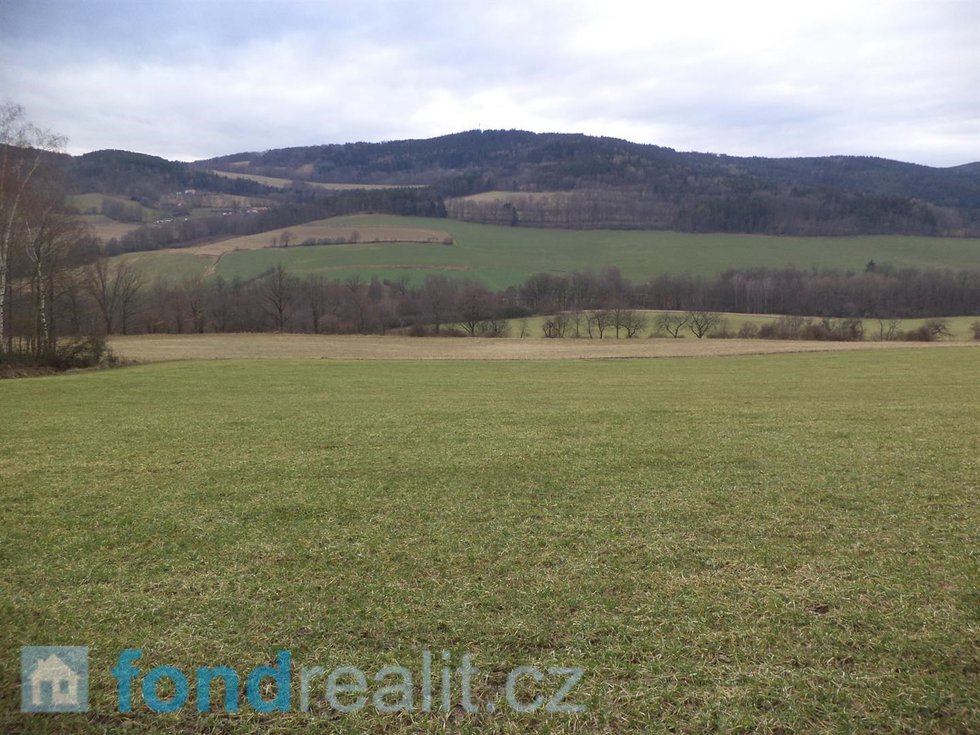 Prodej zemědělské půdy 4567 m², Mičovice