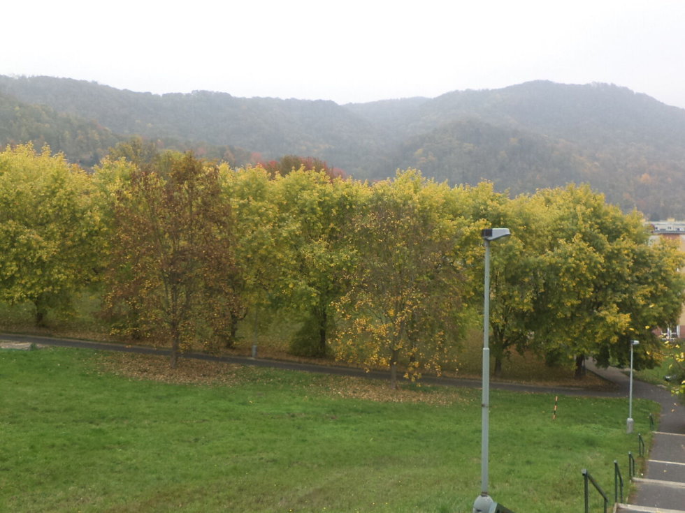 Prodej ostatních pozemků 2064 m², Ústí nad Labem