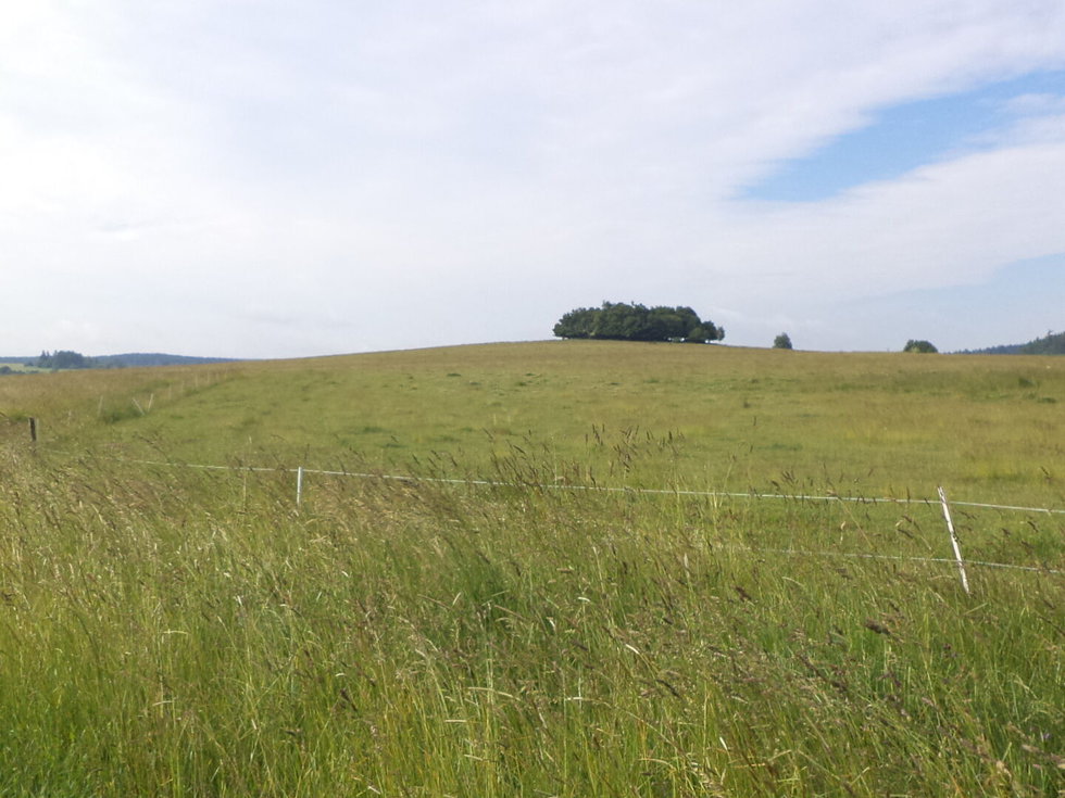 Prodej ostatních pozemků 4031 m², Horní Štěpánov