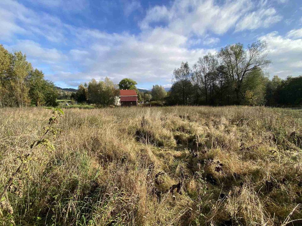 Prodej stavební parcely 3207 m², Králíky