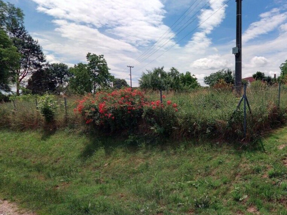 Prodej ostatních pozemků 11 m², Jílovice
