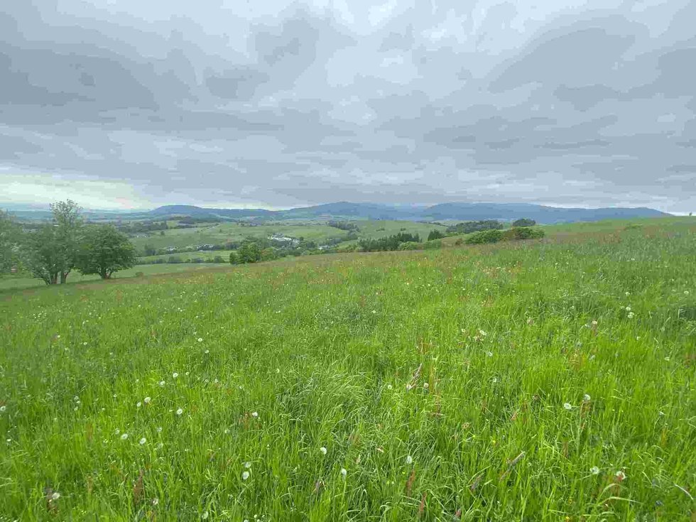 Prodej ostatních pozemků 25968 m², Králíky