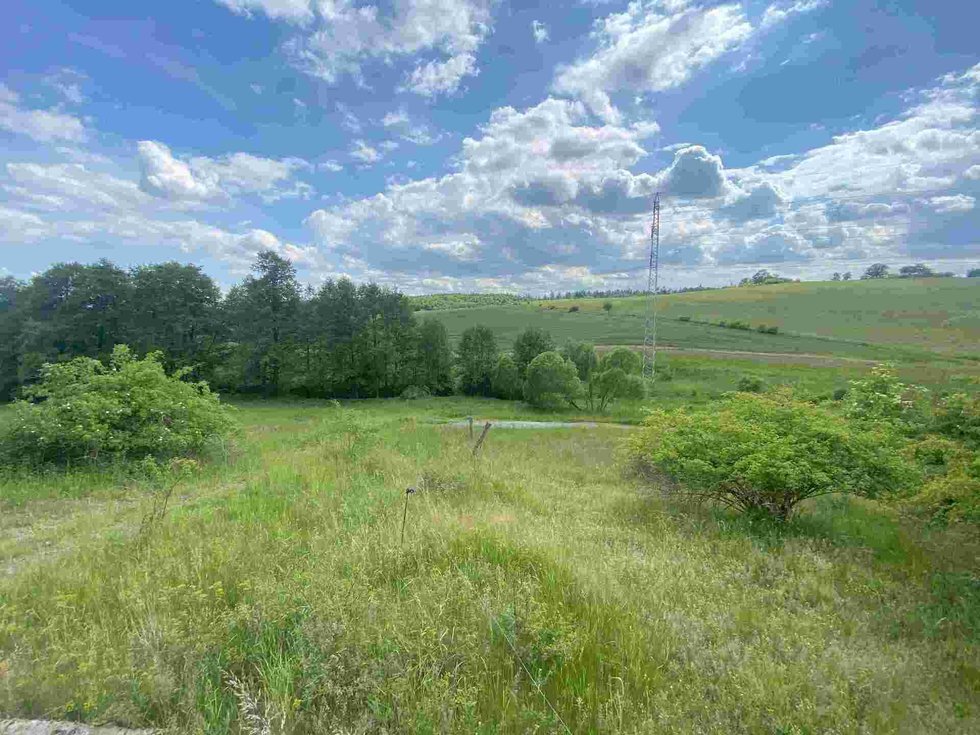 Prodej ostatních pozemků 10215 m², Býkov-Láryšov