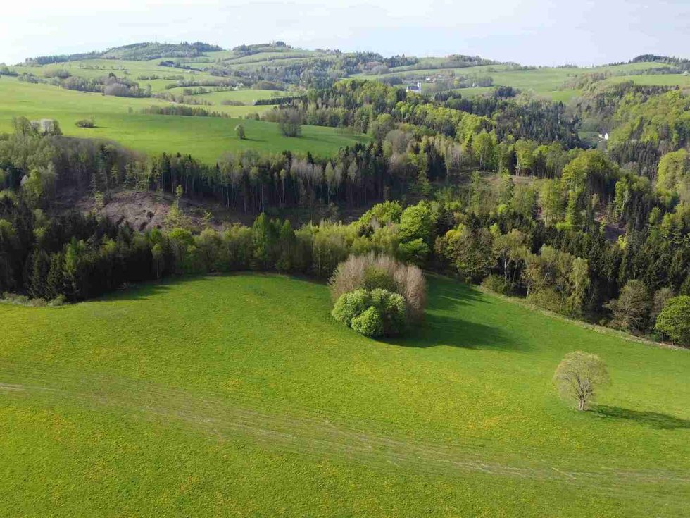 Prodej zemědělské půdy 15879 m², Hanušovice