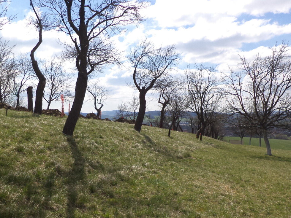 Prodej ostatních pozemků 984 m², Hluk