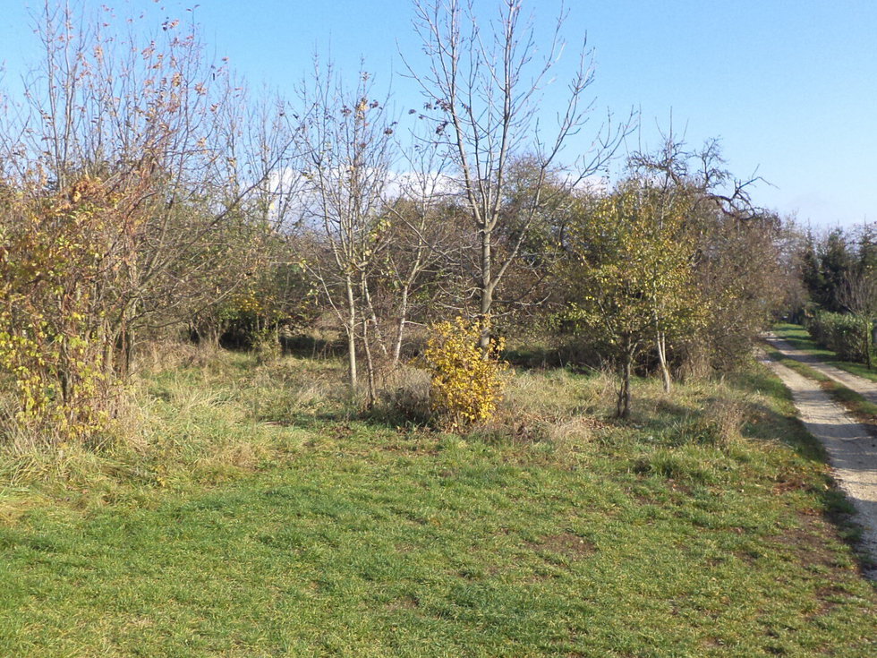 Prodej zahrady 637 m², Otrokovice