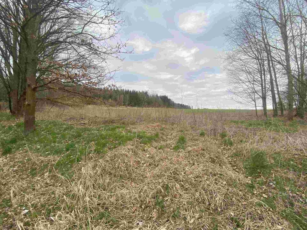 Prodej zemědělské půdy 33905 m², Žinkovy