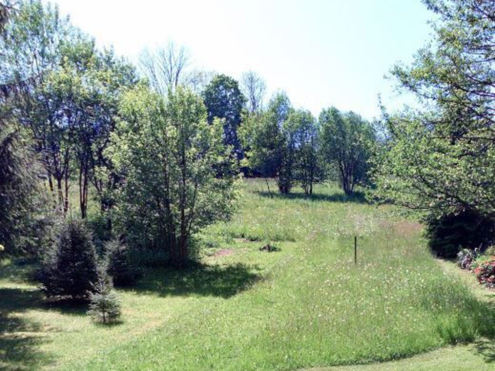 Prodej ostatních pozemků 370 m², Bartošovice v Orlických horách