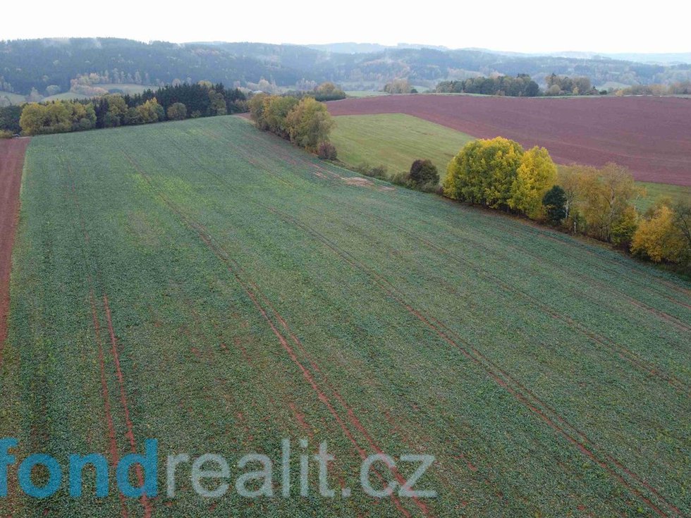 Prodej zemědělské půdy 71140 m², Staré Buky