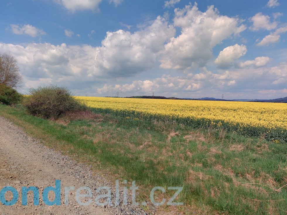 Prodej zemědělské půdy 6401 m², Cebiv