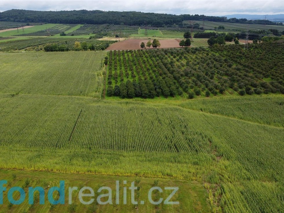 Prodej zemědělské půdy 4926 m², Malovice