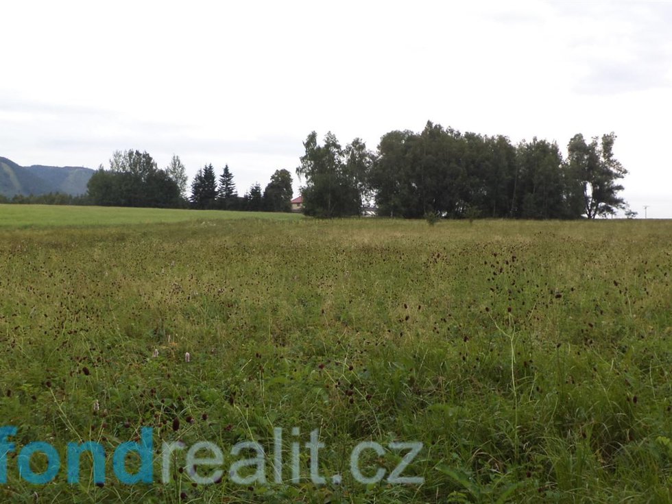 Prodej zemědělské půdy 6774 m², Královec