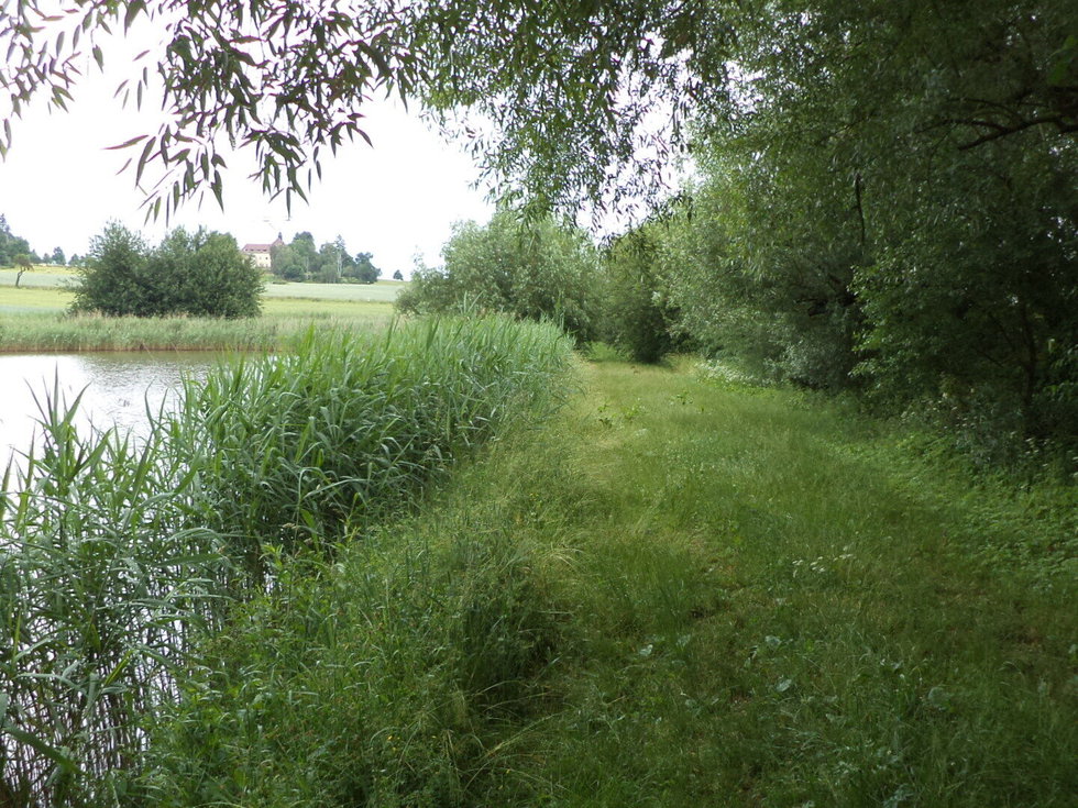 Prodej zemědělské půdy 5516 m², Dačice