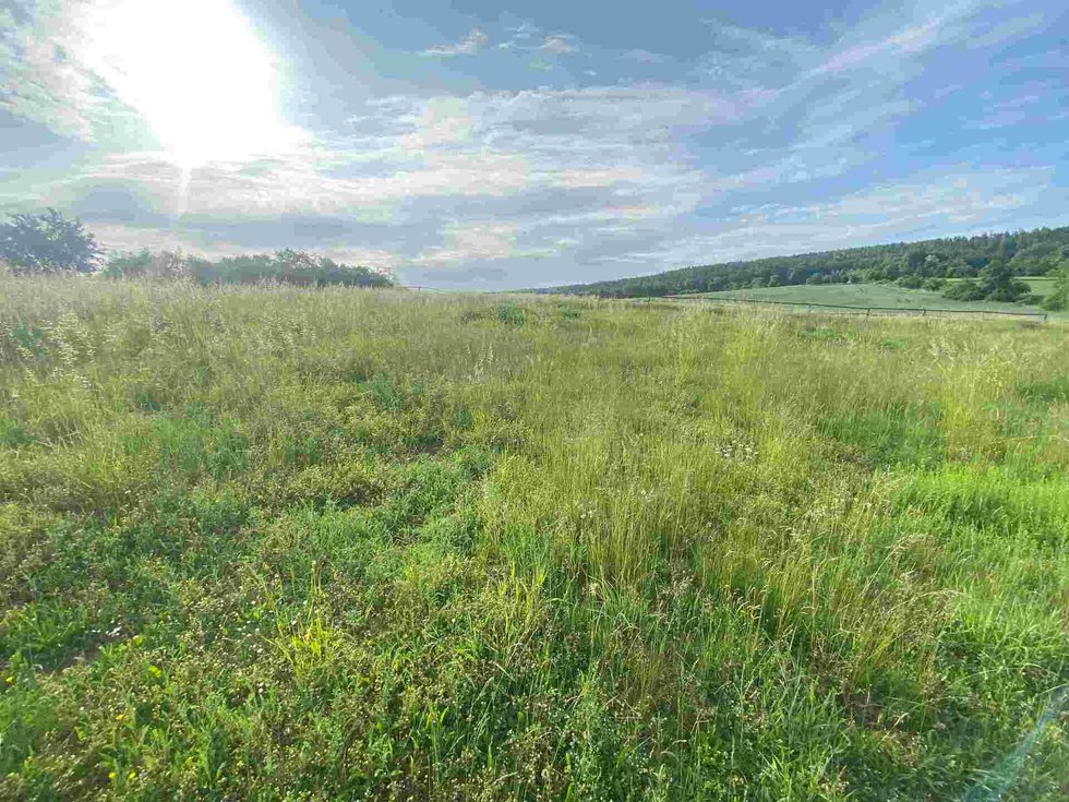 Prodej ostatních pozemků 5404 m², Petrovice