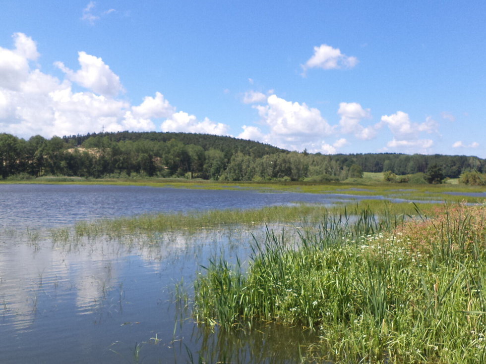 Prodej ostatních pozemků 480 m², Lipí