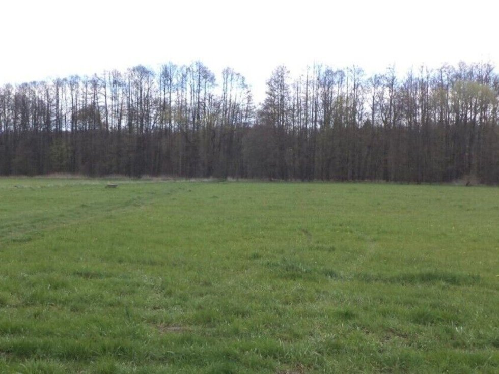 Prodej zemědělské půdy 45730 m², Tachov