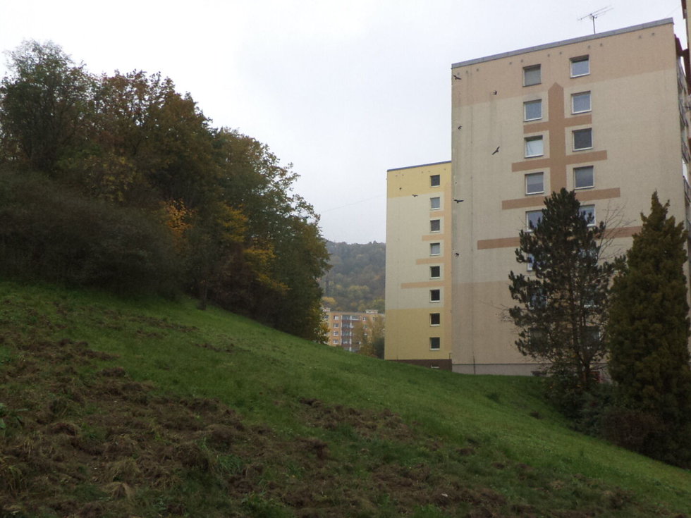 Prodej ostatních pozemků 14780 m², Ústí nad Labem