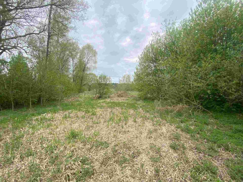 Prodej ostatních pozemků 969 m², Nová Bystřice