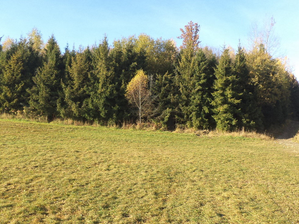 Prodej ostatních pozemků 69413 m², Budišov nad Budišovkou