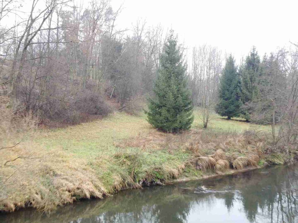 Prodej ostatních pozemků 8621 m², Světlá nad Sázavou