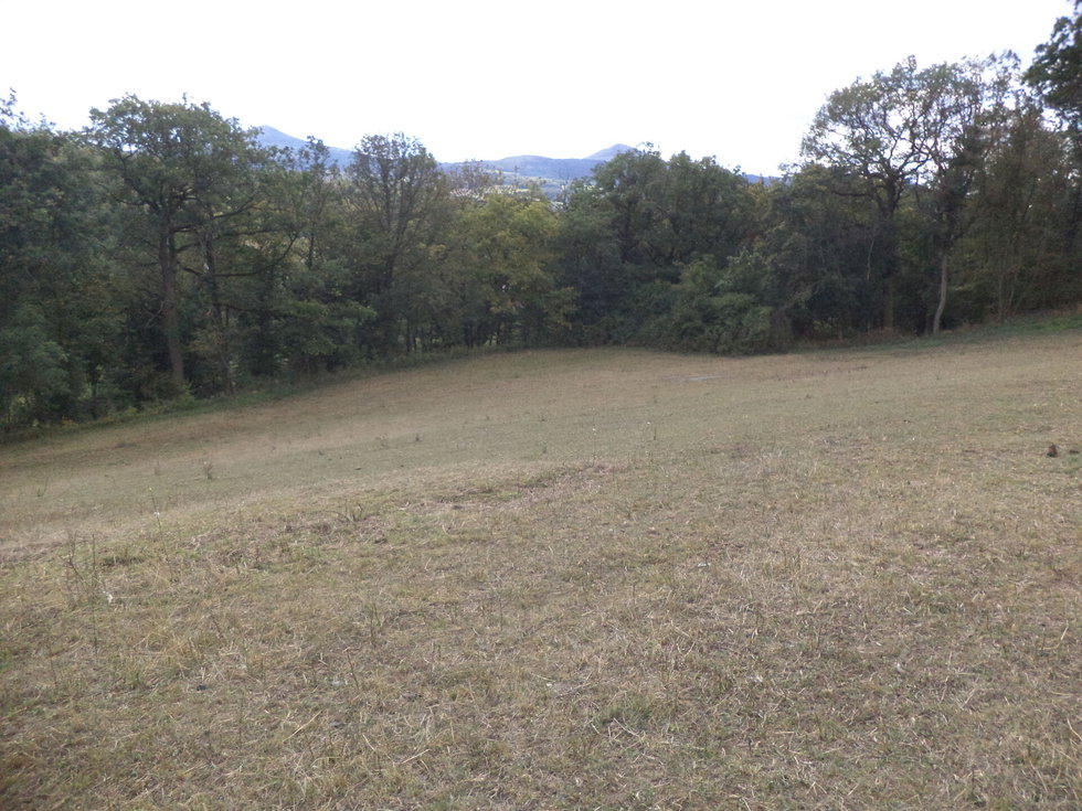 Prodej zemědělské půdy 10011 m², Řehlovice