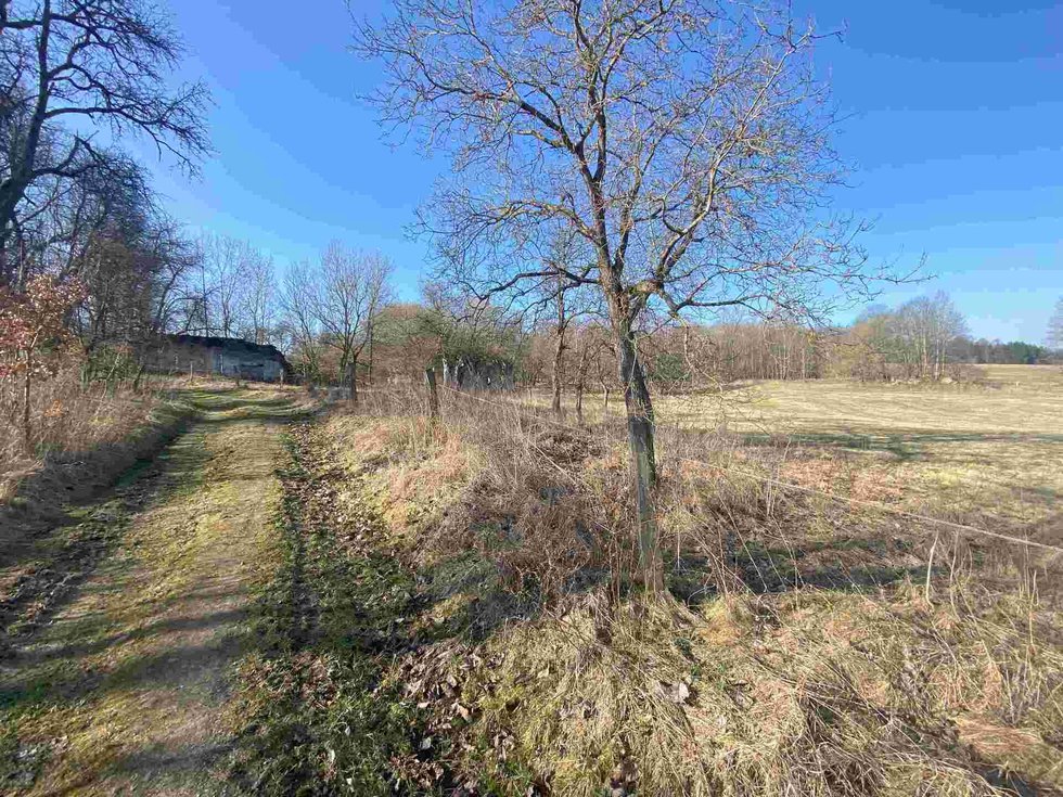 Prodej stavební parcely 11107 m², Dolní Dvořiště
