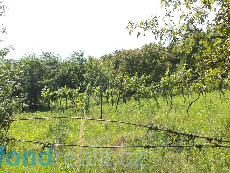 Prodej zemědělské půdy 4008 m², Kyjov