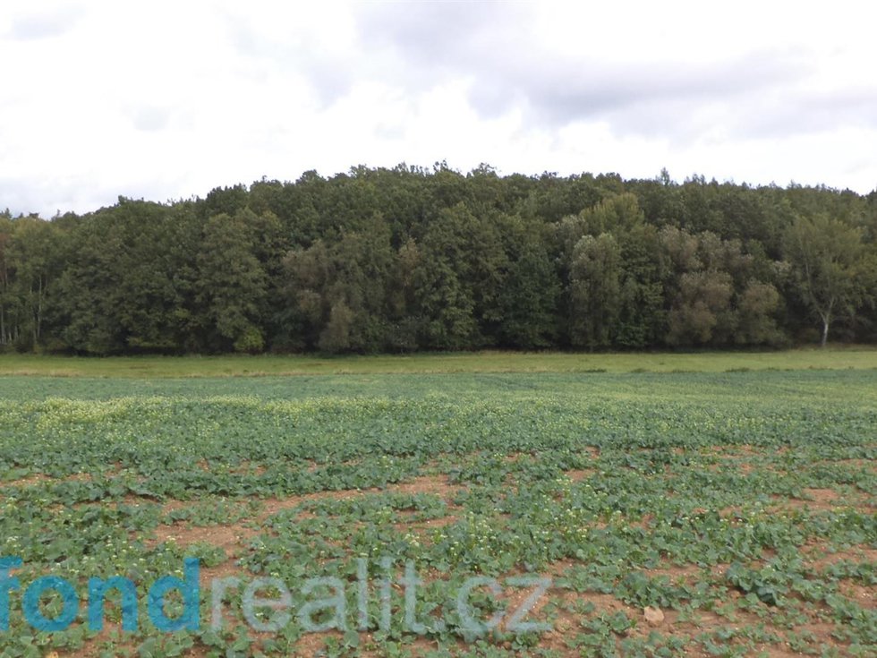 Prodej zemědělské půdy 1718 m², Rosovice