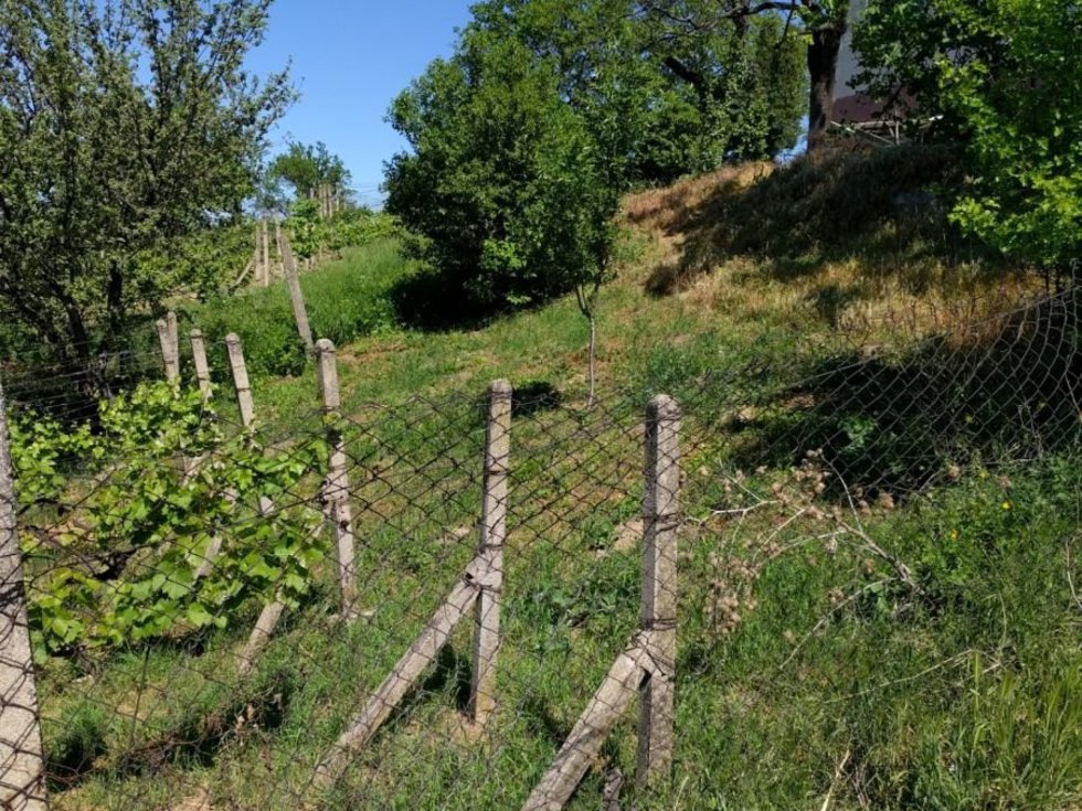 1751041272-frjujdgsbs-img-20180507-143043