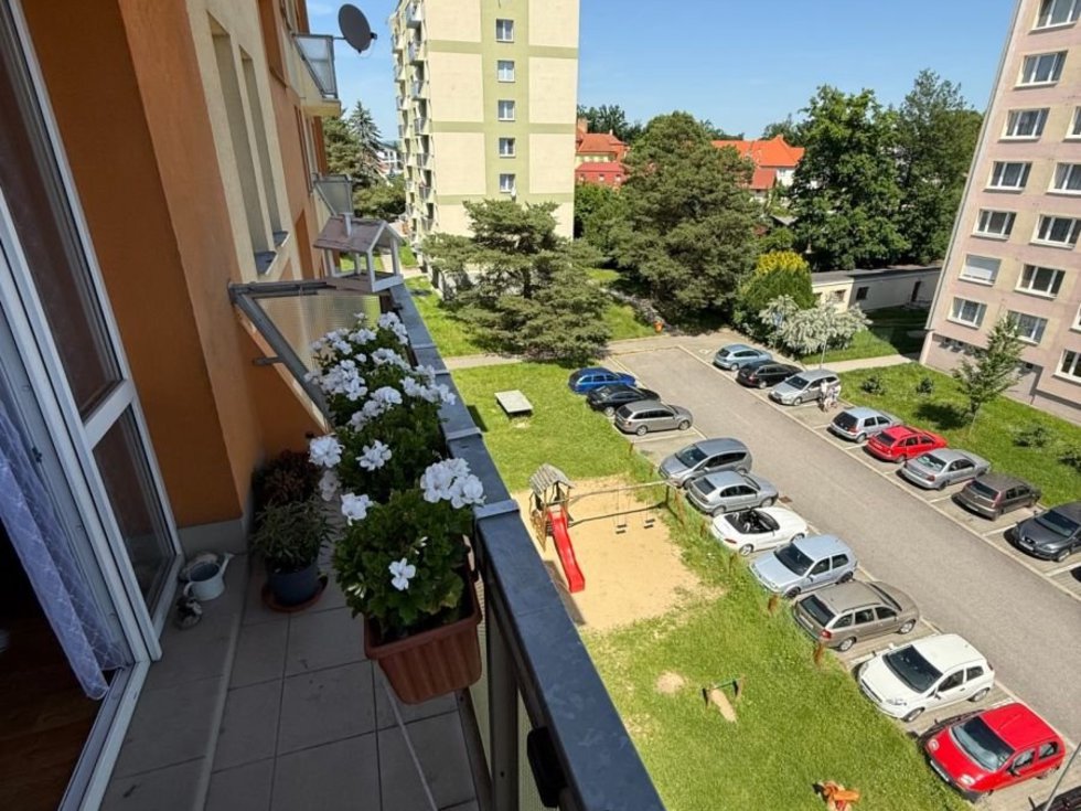 1750764525-cubttluivm-img-6236