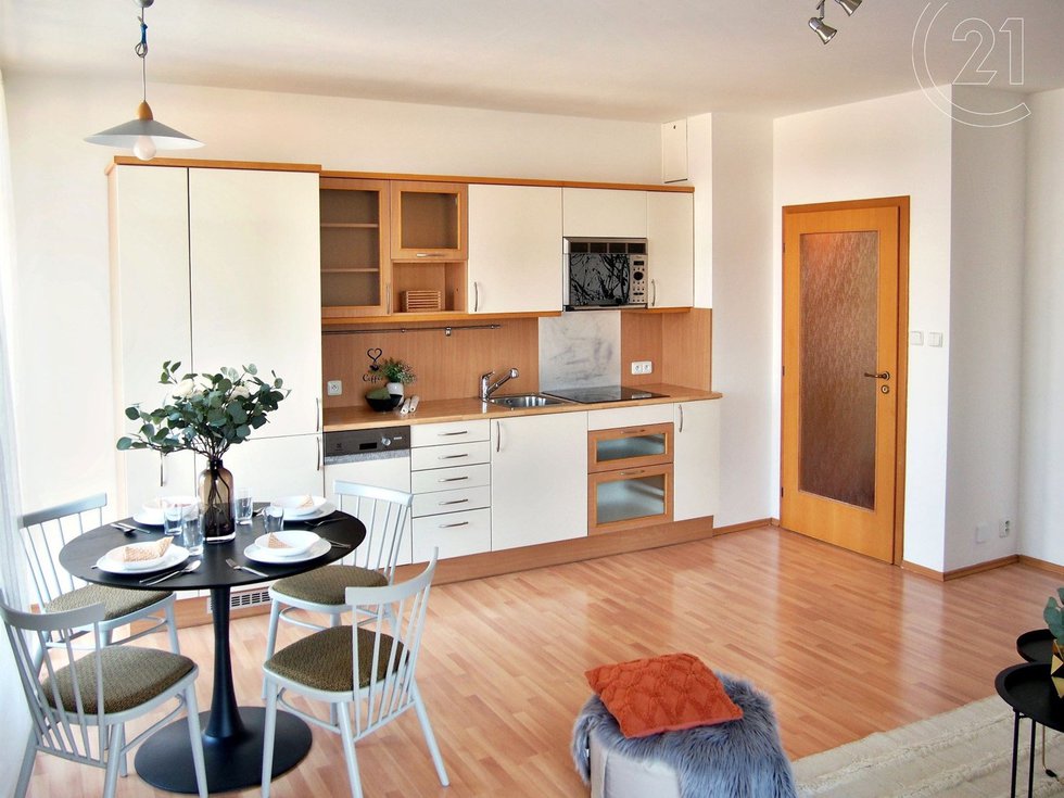 Pronájem bytu 2+kk 57 m², Praha