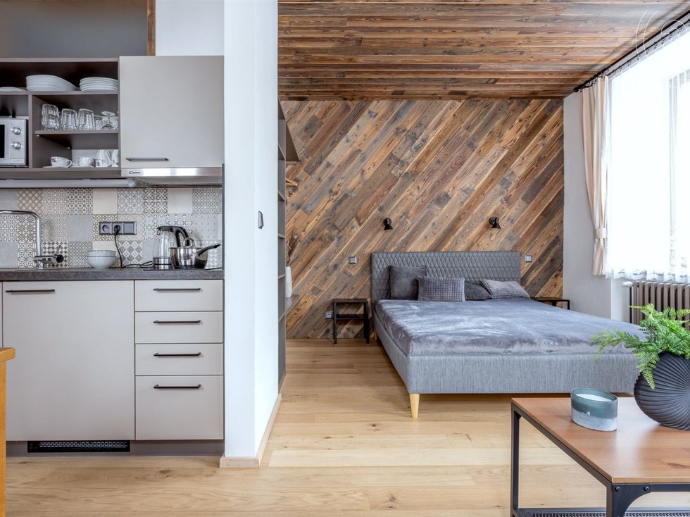 Pronájem Ostatních komerčních prostor 31 m², Bedřichov