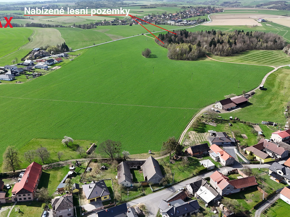 Prodej lesa 25088 m², Spálov