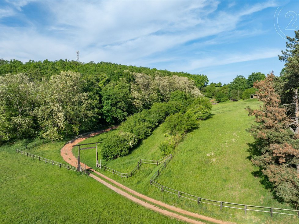 Prodej zemědělské usedlosti 176 m², Mutěnice