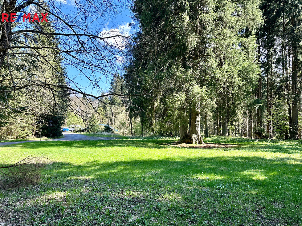 Prodej komerčního pozemku 15757 m², Železná Ruda