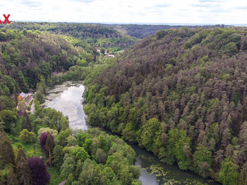 Prodej lesa 13685 m², Kokořín