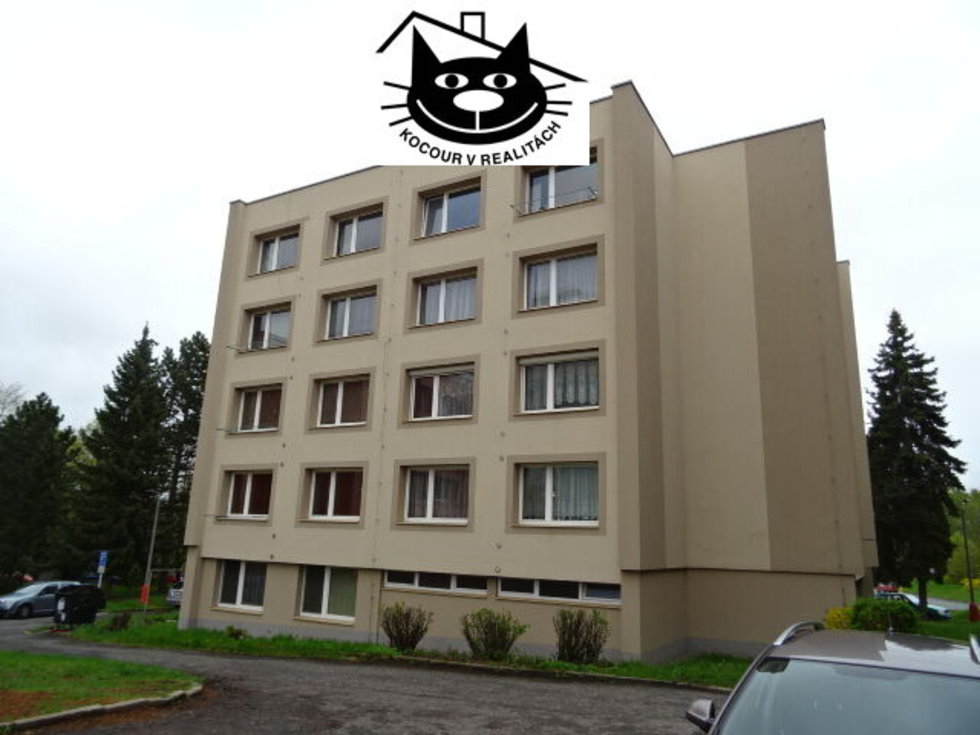 pohled na dům